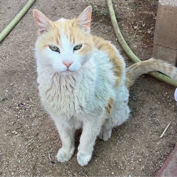 Meet your Posher, Kim - Picture 7 of 8